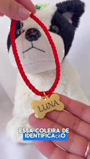 Coleira Rosa de Cachorro com Pingente Nome e Numero Personalizado B4