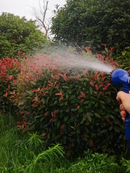 Mangueira Mágica 15M 30M 60M Flexível 7 funções Jato Irrigação para Jardim Lavagem de Carro