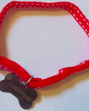 PLAQUINHA IDENTIFICAÇÃO + Coleira PET COM NOME GRAVADO