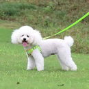 Coleira Peitoral para cachorro pequenos e médios com guia para pet colete confortável