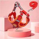 Coleira Peitoral para cachorro pequenos e médios com guia para pet