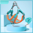 Coleira Peitoral para cachorro pequenos e médios com guia para pet