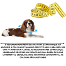 Coleira Rosa de Cachorro com Pingente Nome e Numero Personalizado B4