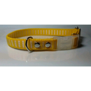 PLAQUINHA IDENTIFICAÇÃO + Coleira PET COM NOME GRAVADO