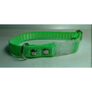 PLAQUINHA IDENTIFICAÇÃO + Coleira PET COM NOME GRAVADO